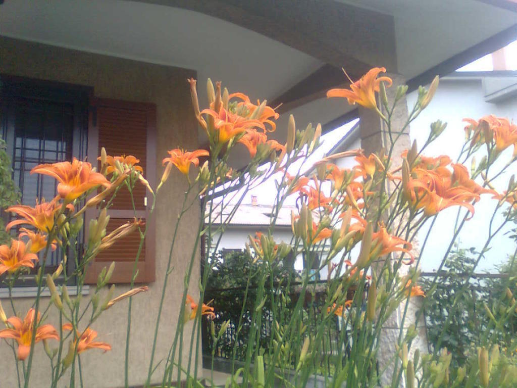 Le Magnolie B&B Bussero Exterior foto